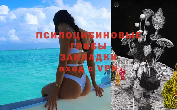 дживик Баксан